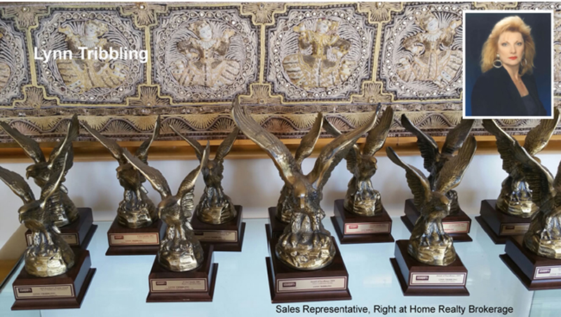 Lynn Tribbling's Awards